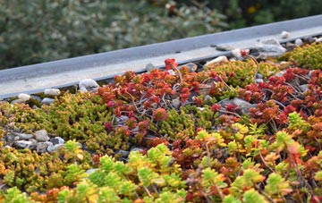 the cost of Wetherden green roof installation