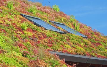 Wetherden living roof systems