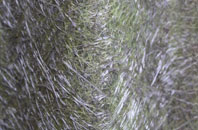 Wetherden fibreglass roof work